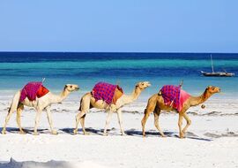 Promosyon Sharm El Sheikh Turu Ajet ile 4 Gece Otelden Erken Çıkışlı