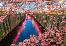 Büyük Japonya Kore Turu-SQ ICN FUK Singapur Havayolları İle