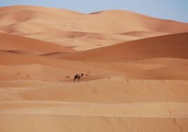 Görkemli Fas Krallığı ve Mistik Şehirler 5 Gece - Air Arabia Hava Yolları ile 25 Nisan Hareket